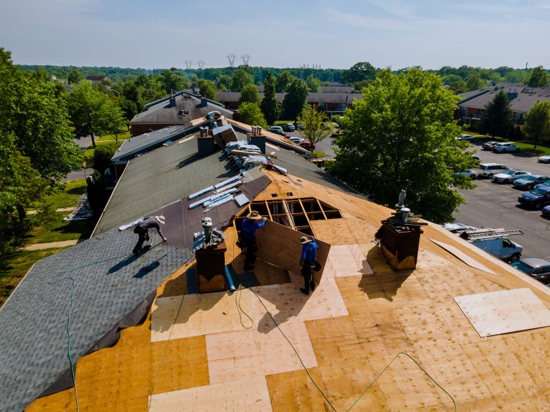 Roofing Service in Action